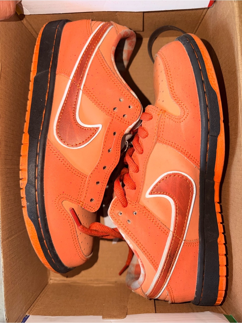 Nike SB Dunk Low Concepts